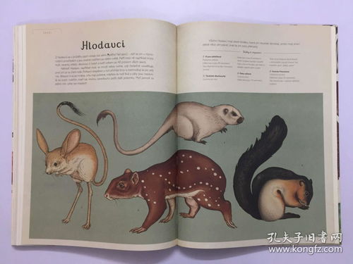 揭示:欲钹买洁身自爱动物(羊蛇):7777888888888精准与新澳门天天免费谜语论坛图314期,拒绝虚假的伪装-启发释义、专家解读解释与落实​