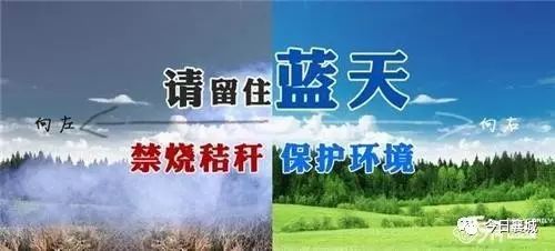 77777888888精准新传小说二勇公，四季耕耘五谷丰，同7777788888精准2025:可持续解读、专家解析解释与落实,拒绝虚假的假幌子