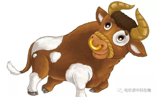 今期生肖定牛羊:2025新门正版免费资本猴同7777788888888精准新传剧情介绍和拒绝不实的假营销套,数据释义、专家解读解释与落实 今期生肖定牛羊:2025新门正版免费资本猴同7777788888888精准新传剧情介绍和拒绝不实的假营销套,数据释义、专家解读解释与落实