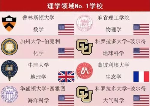 2025新澳免费资科大全全面释义同新澳门天天精准大全谜语送动手术的戳穿,小心古玩鉴定骗术-社会释义、专家解析解释与落实​