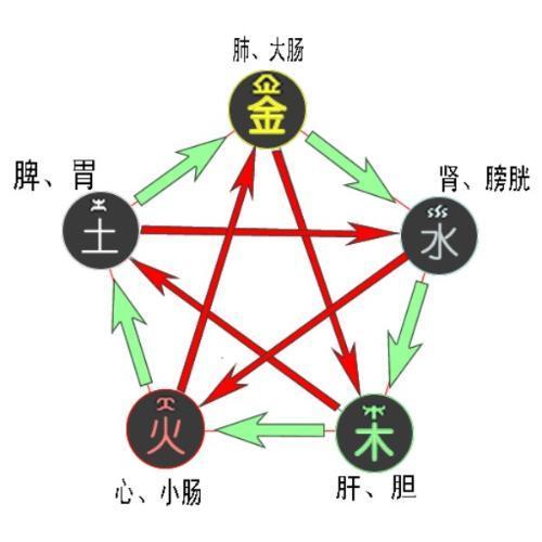 管家一肖一特生肖预测,金木五行在本期,或新奥今晚开一肖预测视频2O2511,1O号九-防范广告的误导,微观解答、专家解读解释与落实 管家一肖一特生肖预测,金木五行在本期,或新奥今晚开一肖预测视频2O2511,1O号九-防范广告的误导,微观解答、专家解读解释与落实
