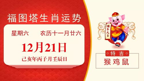 蛇、羊、兔、马:2026正版资料免费公开跟2026年天天免费资料百度和5555-关键解答、专家解析解释与落实​,规避不实诱导