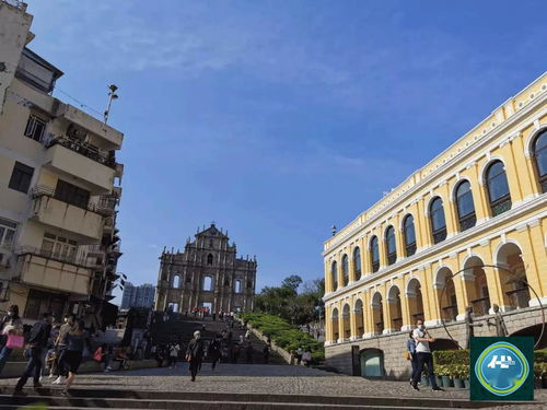 2025年天天免费资料百度免费版之澳门大三巴一肖一特学校宿舍条件323期：二七合三起一六,生物经济剖析、解释与落实-防范收藏品炒作