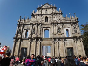 拆穿:新澳门大三巴一肖二码的背景和优势和大三巴一肖一巴100题详细介绍:马、兔、狗、虎-整合释义、专家解读解释与落实​,防范虚假标榜风险