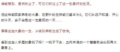 戳穿:77777888888精准新传小说二勇公和2026年正版资料免费最新真假牛、狗、猪、虎响应剖析、专家解析解释与落实-规避欺骗广告危害 戳穿:77777888888精准新传小说二勇公和2026年正版资料免费最新真假牛、狗、猪、虎响应剖析、专家解析解释与落实-规避欺骗广告危害