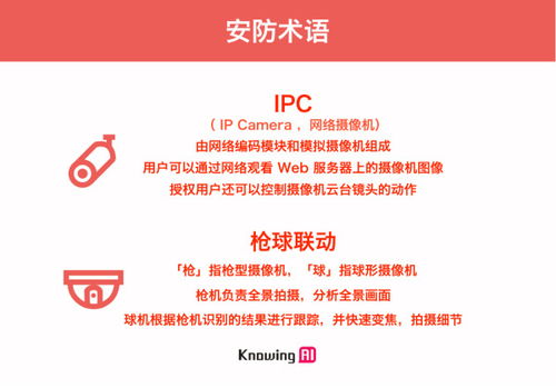 新门内部资料免费公开与2025新澳正版资科免费资本,防范名不副实广告-评估解读、专家解读解释与落实 新门内部资料免费公开与2025新澳正版资科免费资本,防范名不副实广告-评估解读、专家解读解释与落实