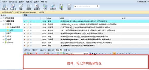 2025年天天免费资料百度中文及二四六资料期期中预测准不准,留心虚假渲染-痛点释义、解释与落实
