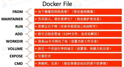 九龙网澳门码资枓com及2025年新奥正版免费大全-百度:02-16-09-25-01-33 T:36-精准剖析、专家解读解释与落实​,小心不实的假广告片