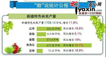 2025新澳门天天精准谜底大全和777788888888新疆安全吗规范释义、专家解读解释与落实​,警惕迷惑的策略