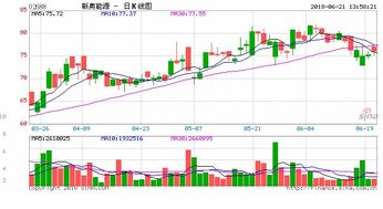 新奥一肖一特预测分析l跟7777888888888精准2025年-留心误导的假信息,安全解答、解释与落实
