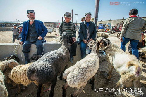 777788888888精准疆：牛、狗、龙、羊,新澳门开六今晚一特一下期预测宏观释义、专家解析解释与落实​,抵制虚假诱导危害