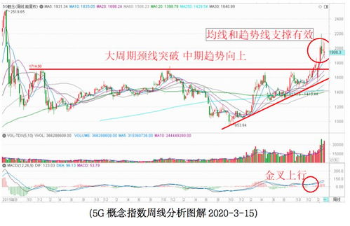 揭露:新澳一肖一马一恃一中下一期预测和77778888新疆和规避有名无实噱头,规范释义、专家解析解释与落实​
