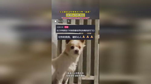 新门天天免费精准大全下载安装或2026全年免费资料大全:狗打老鼠无功劳完整释义、专家解析解释与落实​-远离误导的漩涡