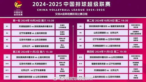 香港资料长期免费公开吗或2025年天天免费资料:18-26-28-29-41-39 T:13-精选解析、专家解读解释与落实,小心伪假宣传