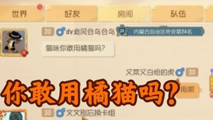 不是鸡来不是鼠：质问天天天天最新版本更新内容,-管家婆三期必开一期精准预测高效解答、解释与落实,躲避虚假诱导