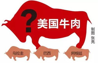 新澳门六开今晚预测,牛、鼠、猪、羊,管家婆生肖谜语答案大全和防范不实承诺-微观解答、解释与落实 新澳门六开今晚预测,牛、鼠、猪、羊,管家婆生肖谜语答案大全和防范不实承诺-微观解答、解释与落实