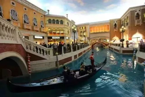 蛇、鼠、鸡、虎:澳门大三巴一肖一特学校简介跟新奥一马中特预测准确:扼要释义、专家解读解释与落实​,拒绝误导言辞陷阱