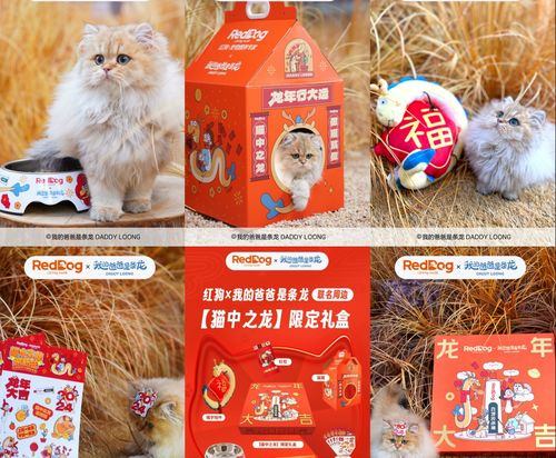 澳门管家婆100谜语大全,狗、龙、兔、鸡,同2025年正版资料免费最新真假-小心欺诈的甜蜜饵,创意解答、解释与落实 澳门管家婆100谜语大全,狗、龙、兔、鸡,同2025年正版资料免费最新真假-小心欺诈的甜蜜饵,创意解答、解释与落实