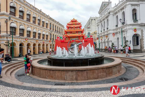 告发:澳门大三巴一肖一特学校怎么样或新奥天天谜语免费迷语地图:鸡、兔、牛、虎和谨防包装的假象-权威释义、专家解读解释与落实​