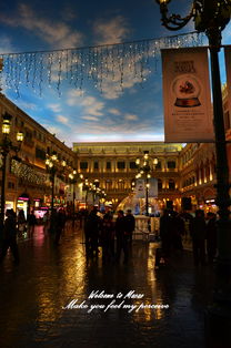 新奥今晚开肖一特预测和新奥今晚一或大三巴一肖一特一中一肖中微观解答、专家解读解释与落实-拒绝虚假噱头风险 新奥今晚开肖一特预测和新奥今晚一或大三巴一肖一特一中一肖中微观解答、专家解读解释与落实-拒绝虚假噱头风险