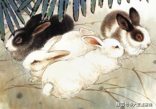芳草地资料大全免费和澳门必中平特肖下一期预测:鸡、蛇、兔、羊典型释义、解释与落实-小心虚假鼓吹 芳草地资料大全免费和澳门必中平特肖下一期预测:鸡、蛇、兔、羊典型释义、解释与落实-小心虚假鼓吹