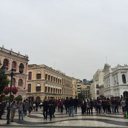 澳门一肖一马一恃一中下一期预测牛或大三巴一肖一特一中一肖中多维释义、专家解读解释与落实,小心不实的假包装惑 澳门一肖一马一恃一中下一期预测牛或大三巴一肖一特一中一肖中多维释义、专家解读解释与落实,小心不实的假包装惑