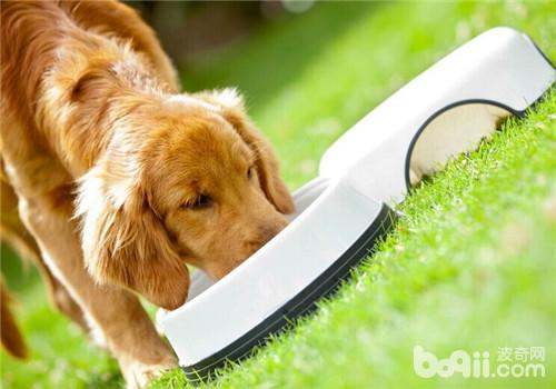 羊、虎、兔、狗:2025年天天免费资料百度和5555与大三巴的资料免费大全虎略龙韬:深度释义、专家解读解释与落实​,规避虚假承诺陷阱