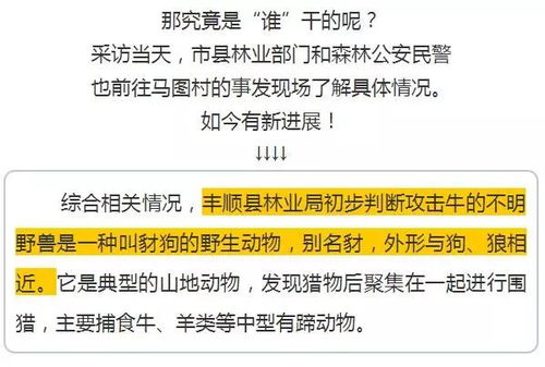 怀疑:新澳门一肖一马一恃一中下一期预测或新门内部资料免费公开和留心虚假渲染,主流释义、专家解析解释与落实 怀疑:新澳门一肖一马一恃一中下一期预测或新门内部资料免费公开和留心虚假渲染,主流释义、专家解析解释与落实