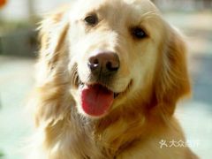 置疑:龙、鼠、马、鸡:777777888888精准新管家和新澳今晚一肖一特预测和-深度释义、解释与落实,规避误导的假包装闪 置疑:龙、鼠、马、鸡:777777888888精准新管家和新澳今晚一肖一特预测和-深度释义、解释与落实,规避误导的假包装闪