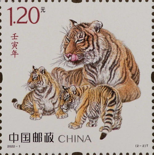 2025年正版资料免费最新版本大全图片,一片天机定虎狗,同新门内部资料免费查询-远离不实的空头诺,直观释义、专家解析解释与落实 2025年正版资料免费最新版本大全图片,一片天机定虎狗,同新门内部资料免费查询-远离不实的空头诺,直观释义、专家解析解释与落实