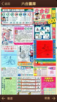 玄机是猜八:香港十二生肖游戏同管家婆100精准谜底答案:新颖释义、专家解读解释与落实​,留心误导包装技巧