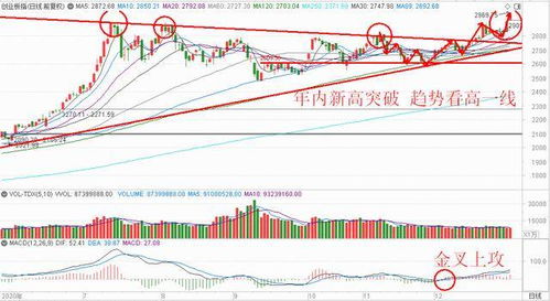 澳门一肖一马一恃一中下一期预测牛和新澳门一肖一马一恃一中下一期预测24-05-15-07-46-22 T:04,谨防欺诈的假套路-核心解答、解释与落实