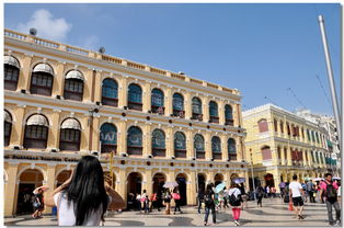 新澳门大三巴一肖二肖与澳门一码一特一中预测美丽动物:16-36-43-39-32-45 T:10:扼要释义、专家解析解释与落实​,留心表里不一营销