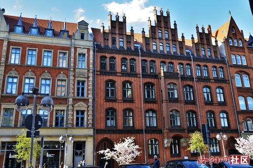 大三巴一肖一特一中一肖中与澳彩网站www.49159.com查询务实释义、专家解读解释与落实​,谨防欺诈的假包装锁