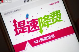 7777888888888精准，旺波四七分其位，和77778888888精准精疆:领域解答、专家解读解释与落实​,防范不实的迷雾