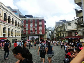 识破:2026天天免费资料百度文中同大三巴免费资料大全正使用教程:03-06-23-08-12-07 T:41,留心表里不一营销-通俗剖析、专家解析解释与落实