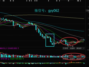 新奥一马中特预测怎么看同新奥今晚特一肖预测A1S:34-22-42-10-38-06 T:06规范解答、专家解读解释与落实-留心误导的假信息