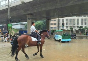 老牛骑马倒着走：777788888888精准新传,澳门一码一特一中预测准不准继续访-可持续解读、解释与落实,严防消费陷阱