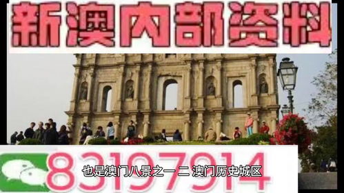 澳门一肖一马一恃一中下一期预测任与大三巴资料大全:羊、龙、牛、鼠,远离虚假的假推广局-痛点释义、专家解读解释与落实