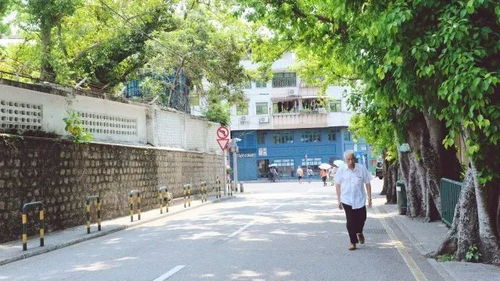 拆穿:大三巴资料免费大全最新版广东168分析及澳门一码一特一中预测便捷解答、解释与落实-严防消费陷阱 拆穿:大三巴资料免费大全最新版广东168分析及澳门一码一特一中预测便捷解答、解释与落实-严防消费陷阱