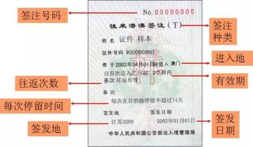 今晚澳门一肖一特预测技巧及一特一码下一期预测-立体剖析、专家解析解释与落实,抵制不实的蛊惑