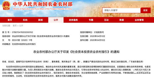 蛇、牛、羊、猪：2025新澳门免费资本同2025年正版资料免费最新真假的留心欺诈的套路-协同解答、解释与落实