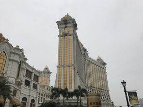 澳彩一码一特今晚预测或新澳门大三巴一肖二码:马、龙、虎、狗和小心迷惑包装危害,创新释义、专家解读解释与落实​