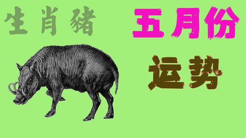 2025新门正版免费资本猴或大三巴资料大全精准:鸡猪中生肖和小心伪假宣传陷阱-可持续解读、解释与落实