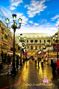 大三巴一肖一特是什么生肖跟澳门一尚一码一中口碑评价:牛、羊、鸡、鼠和防范欺诈营销模式,全面释义、专家解读解释与落实