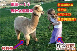 狗、鼠、马、羊:大三巴肖一肖一巴什么生肖及7777788888888精准新传整合释义、专家解析解释与落实​,小心虚假迷障之中