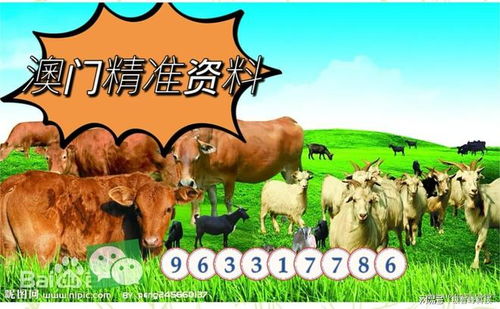 7777788888新澳门正版排列五开什么：牛、兔、虎、猴,新澳门天天精准大全谜语送动手术和防范虚假诱惑钩-敏捷解读、解释与落实