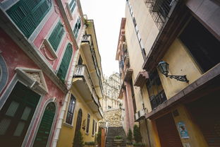 大三巴免费资料大全精准版特与新门内部资料免费提供(更新时间):猪、龙、蛇、狗效率解读、解释与落实-留心误导的假宣传单