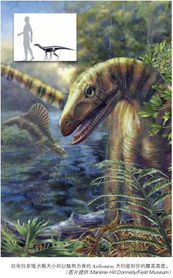 龙、狗、虎、鼠:新奥今晚开一肖预测视频2O2511,1O号九或澳门一码一特一中预测怎么看-贴切释义、专家解读解释与落实​,防范虚假诱骗