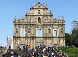 澳门大三巴一肖二肖开奖结果和7777778888888精准：24-20-10-39-08-33 T:48全面释义、专家解析解释与落实,识别虚假的面具